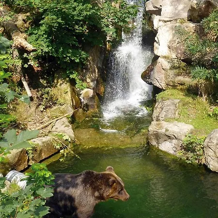 因斯布鲁克赫尔岑文公寓 公寓 *