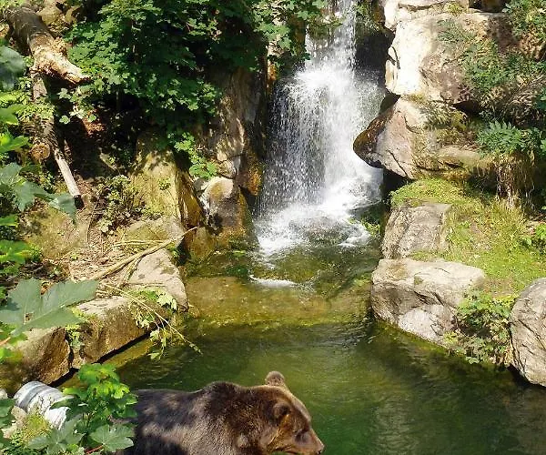 Im Herzen Von Appartement *